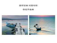 广西欣歌拉科技有限公司