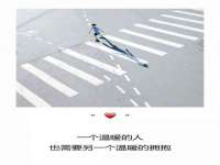 广西欣歌拉科技有限公司