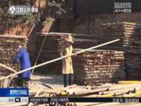 广西欣歌拉科技有限公司