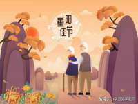 广西欣歌拉科技有限公司