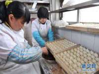 广西欣歌拉科技有限公司