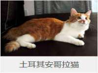 广西欣歌拉科技有限公司