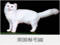广西欣歌拉科技有限公司