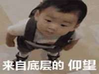 广西欣歌拉科技有限公司