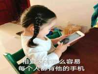 广西欣歌拉科技有限公司