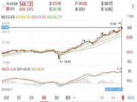 广西欣歌拉科技有限公司