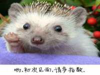广西欣歌拉科技有限公司