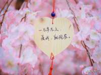广西欣歌拉科技有限公司