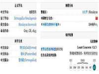 广西欣歌拉科技有限公司