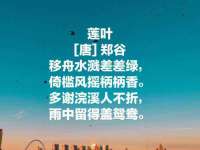 广西欣歌拉科技有限公司