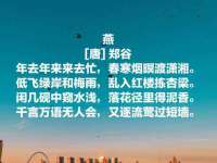 广西欣歌拉科技有限公司