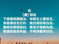 广西欣歌拉科技有限公司