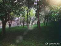 广西欣歌拉科技有限公司