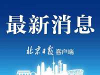 广西欣歌拉科技有限公司