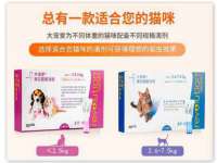广西欣歌拉科技有限公司