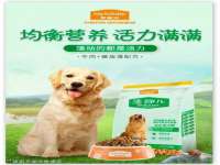 广西欣歌拉科技有限公司