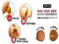 广西欣歌拉科技有限公司