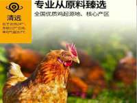 广西欣歌拉科技有限公司