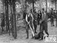 广西欣歌拉科技有限公司