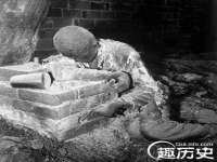广西欣歌拉科技有限公司