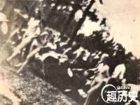 广西欣歌拉科技有限公司
