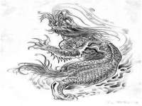 广西欣歌拉科技有限公司