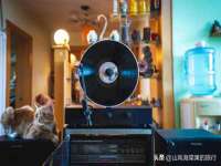 广西欣歌拉科技有限公司