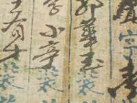 广西欣歌拉科技有限公司