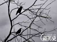 广西欣歌拉科技有限公司