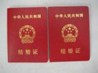 广西欣歌拉科技有限公司
