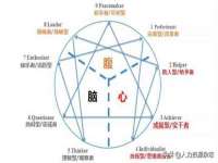 广西欣歌拉科技有限公司
