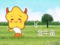 广西欣歌拉科技有限公司