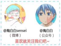 广西欣歌拉科技有限公司