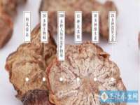 广西欣歌拉科技有限公司