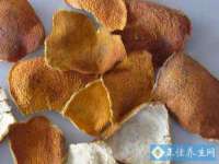 广西欣歌拉科技有限公司