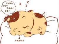 广西欣歌拉科技有限公司