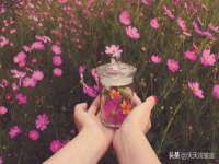 广西欣歌拉科技有限公司