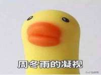广西欣歌拉科技有限公司