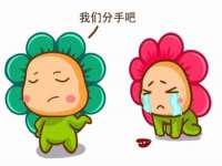 广西欣歌拉科技有限公司