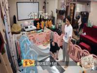 广西欣歌拉科技有限公司