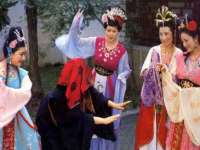 广西欣歌拉科技有限公司